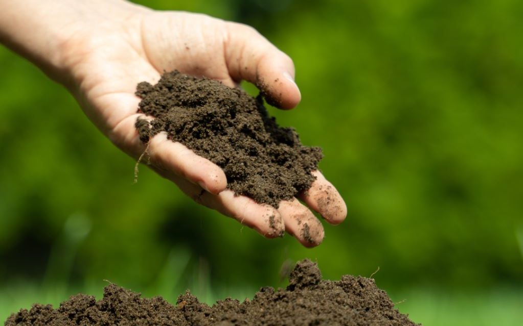 THE INTERNATIONAL SOIL SCIENCE CONFERENCE 2024