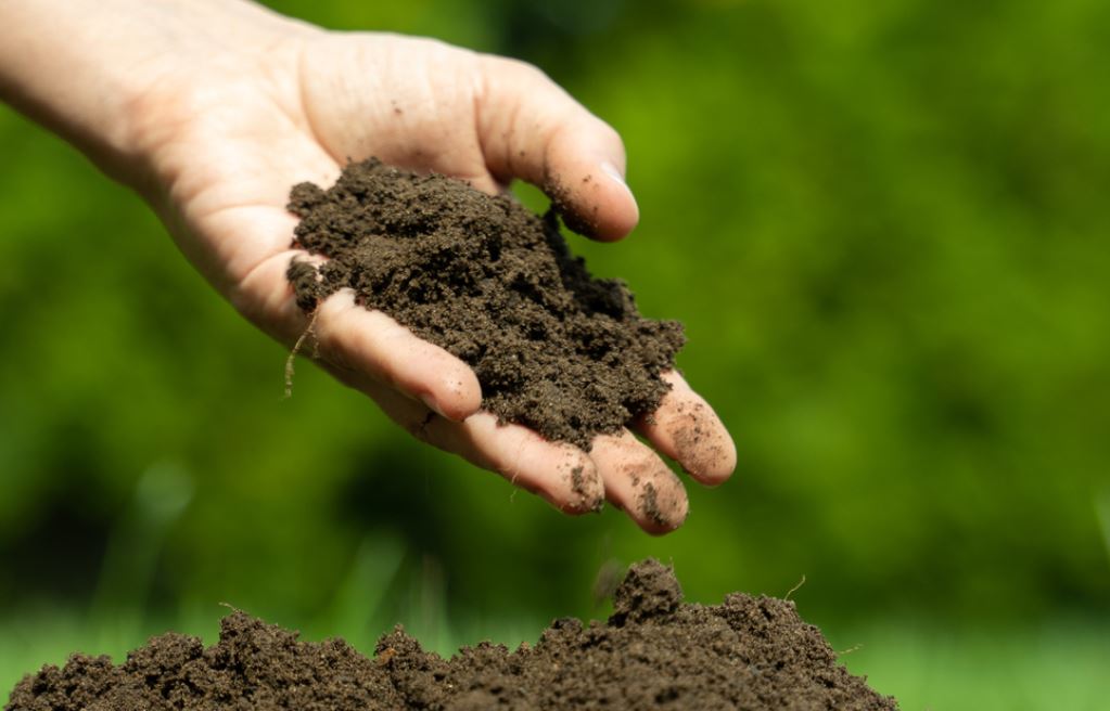 THE INTERNATIONAL SOIL SCIENCE CONFERENCE 2024