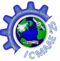 ICMAAE25 logo